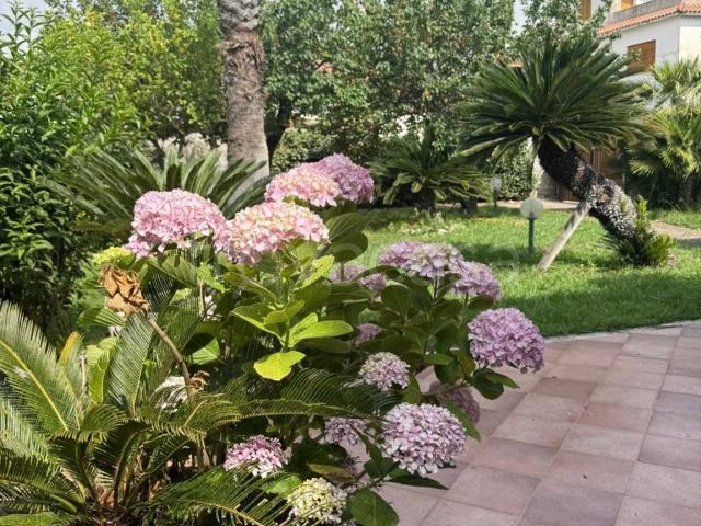 Casa Indipendente in affitto a San Felice Circeo via Achille, 7A, arredato, giardino privato, posto auto TrovaCasa