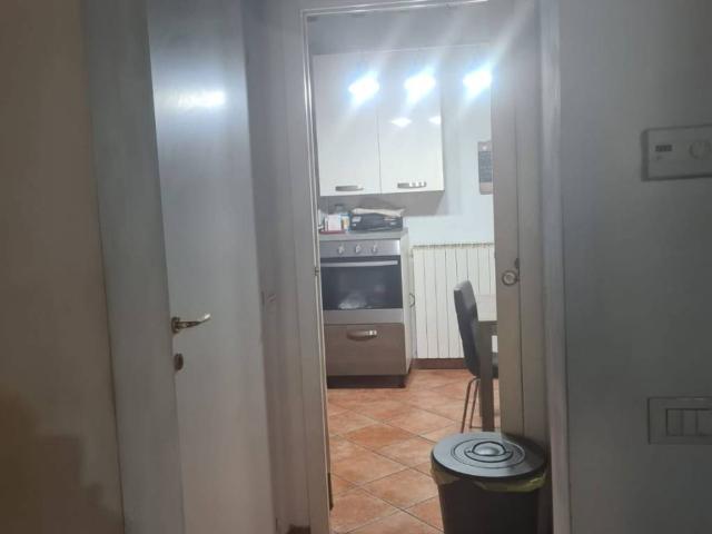 Casa indipendente in affitto a Porcari LU