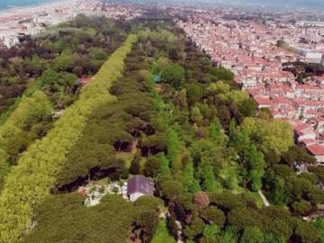 Casa Indipendente in affitto a Viareggio, giardino privato, terrazzo, riscaldamento autonomo TrovaCasa