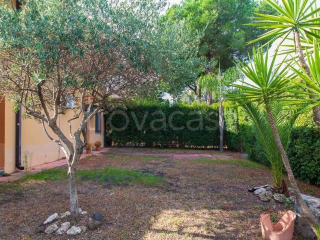 Casa Indipendente in affitto ad Aci Sant'Antonio via Sacerdote Messina, 10, giardino privato, libero al rogito, cucina abitabile TrovaCasa