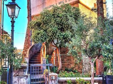 Casa Indipendente in in affitto da privato a Ospedaletti via Pio vii, 19, da privato TrovaCasa