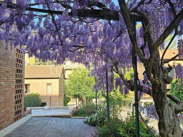 Casa Indipendente in in affitto da privato a Perugia via Niccolò Machiavelli, 74, arredato, giardino, posto auto TrovaCasa