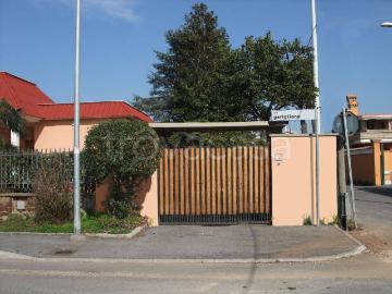 Villa Indipendente in affitto a Pomezia - Giardino