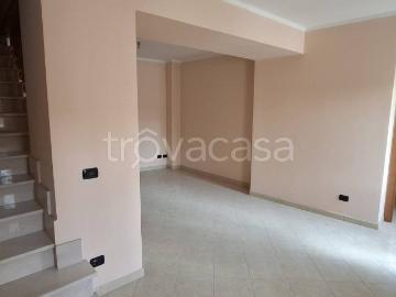 Riccia Campobasso, Campobasso Molise, Molise