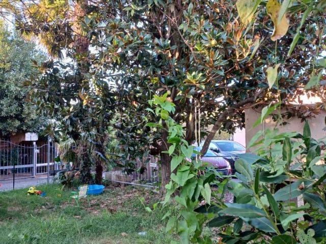 Casa Indipendente in in affitto da privato a San Giuliano Terme via Giuseppe Toniolo, 20, giardino, da privato, posto auto coperto TrovaCasa