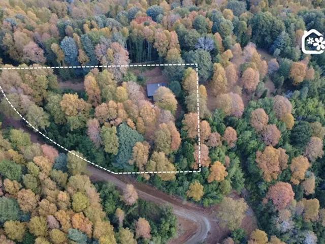Casa inmersa en bosque nativo | 3 dormitorios por 130000. 00 en Villarrica