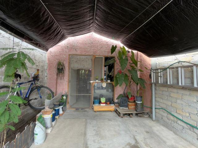 Casa insurgentes calle lirios