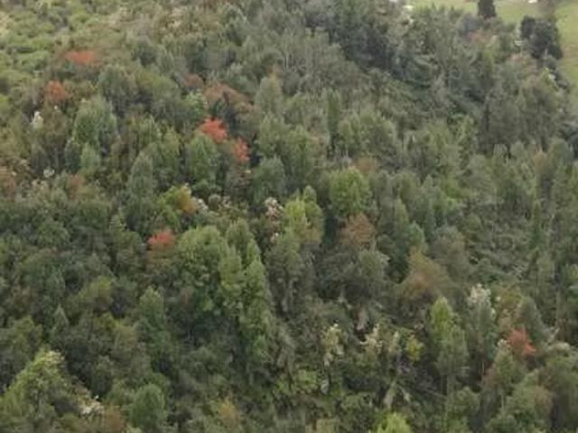 CASA Localidad de Puntra | 3 dormitorios por 11000.00 en Ancud
