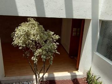 Casa Lomas de las Palmas