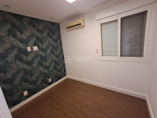 Casa para alugar no Cambuí em Campinas