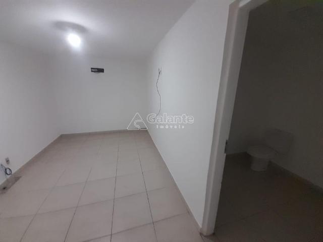 Casa para alugar no Cambuí em Campinas