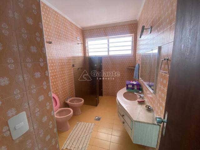 Casa para alugar no Jardim Proença em Campinas