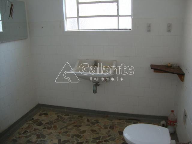 Casa para alugar no Jardim Proença em Campinas