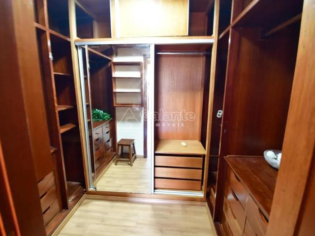 Casa para alugar no Parque Taquaral em Campinas