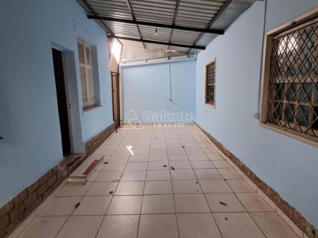 Casa para alugar no Vila Itapura em Campinas