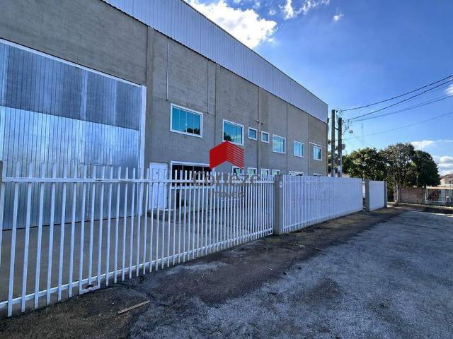 Casa para Alugar, Ouro Fino, São José dos Pinhais, 1040m² área util, R$ 20.000 | PI: 3471893