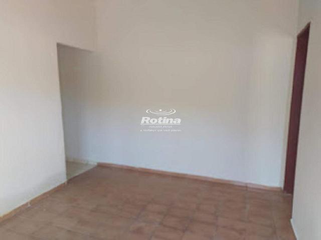 Casa para alugar, Custódio Pereira Uberlândia/MG