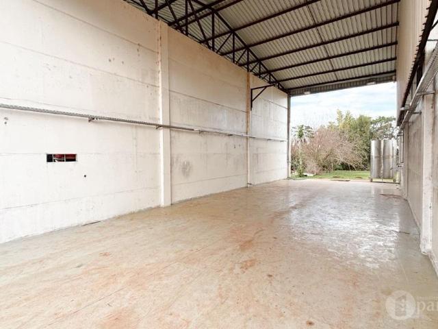 Casa para alugar em Área Rural de Toledo, Toledo PR