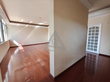 Casa para alugar em Campinas, Nova Campinas, com 4 quartos, com 302 m²
