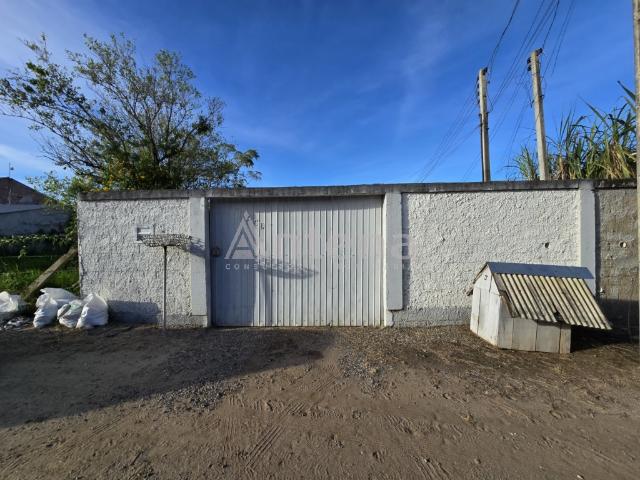 Casa para Alugar, Rio Pequeno, São José dos Pinhais, 50m² área util, R$ 1.500 | PI: 3502443