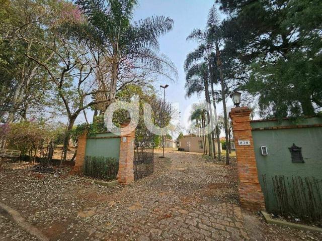 Casa para alugar, Santa Rita Piracicaba/SP