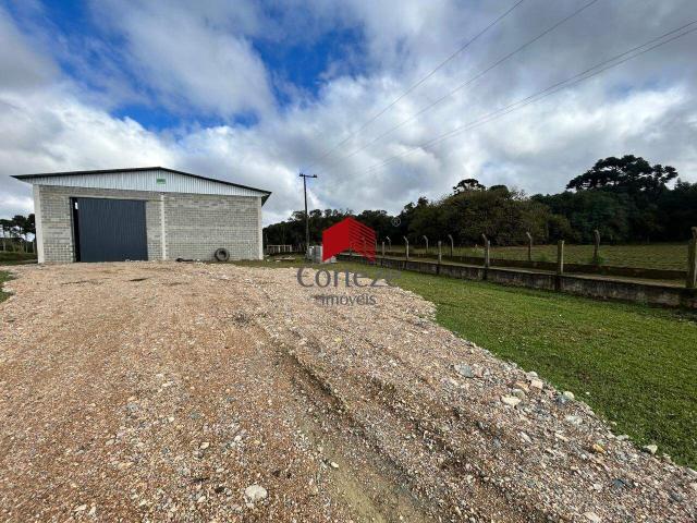 Casa para Alugar, Zona Rural, São José dos Pinhais, 400m² área util, R$ 8.000 | PI: 3526325