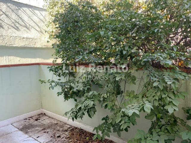Casa para aluguel 11 quartos 6 vagas Santo Agostinho