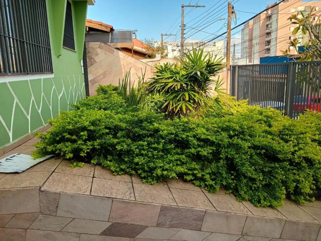 Casa para locação, Vila Granada, São Paulo, SP