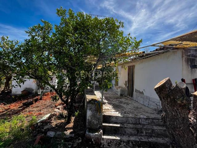 Casa para Recuperar em Mouriscas, Abrantes