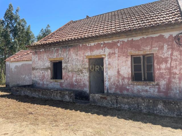 Casa para Recuperar em Vilelas, Martinchel Abrantes
