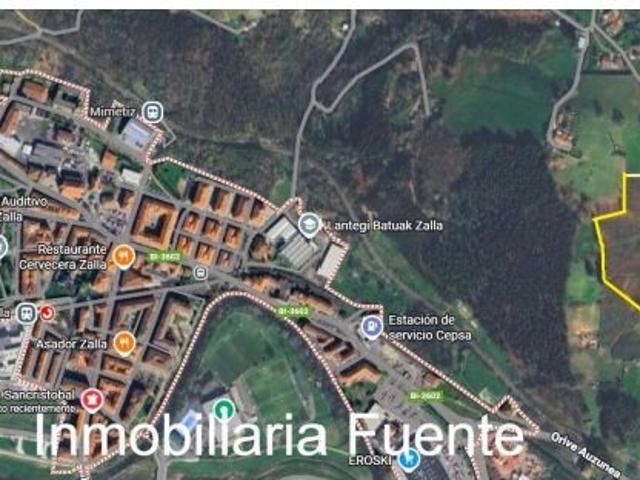 CASA PARA REFORMAR CON 40.000 M2 DE TERRENO EN ZALLA