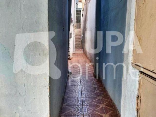 CASA PARA RENDA À VENDA NA VILA MARIA