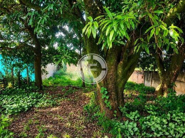 Casa para venda em Centro, São Sebastião do Paraíso
