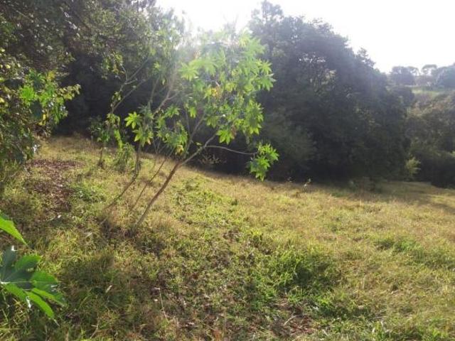 Casa para venda em Amarantina, Amarantina