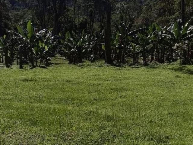 Casa para venda em Bairro Princesa Isabel de 100.00m² com 1 Quarto e 10 Garagens
