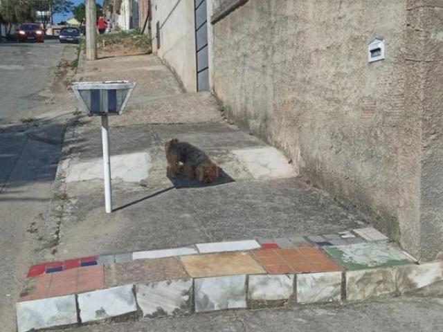 Casa para venda em Belo Horizonte
