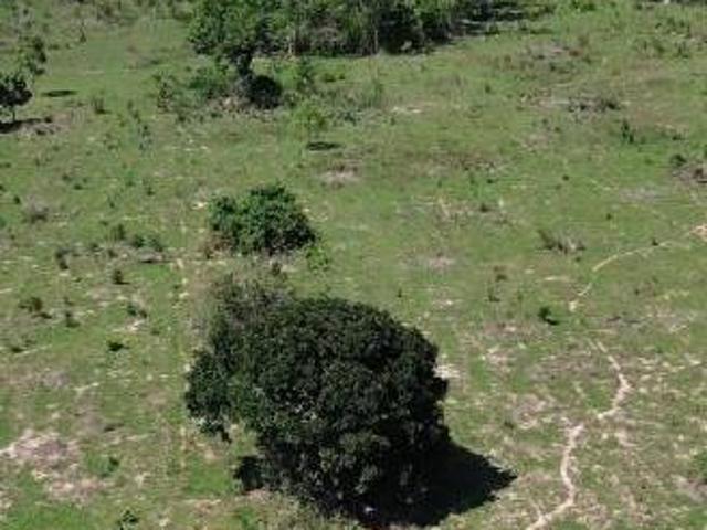 Casa para venda em Guarantã do Norte
