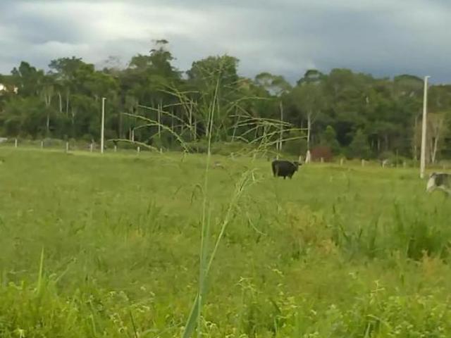 Casa para venda em Guarantã do Norte