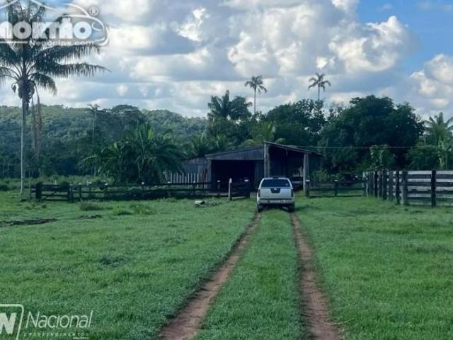 Casa para venda em Guarantã do Norte