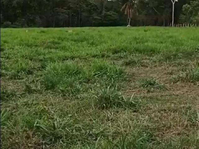 Casa para venda em Guarantã do Norte