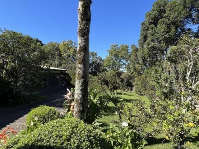 Casa para Venda em Guarapuava, Trianon, 4 dormitórios, 1 suíte, 3 banheiros, 4 vagas