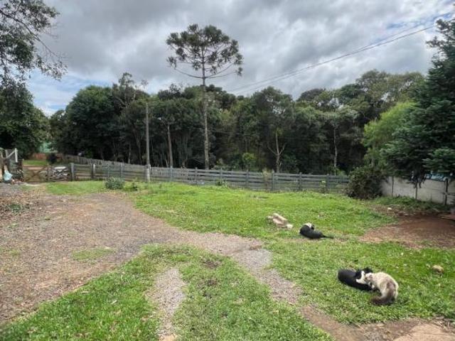 Casa para Venda em Guarapuava, Morro Alto, 3 dormitórios, 1 banheiro, 1 vaga