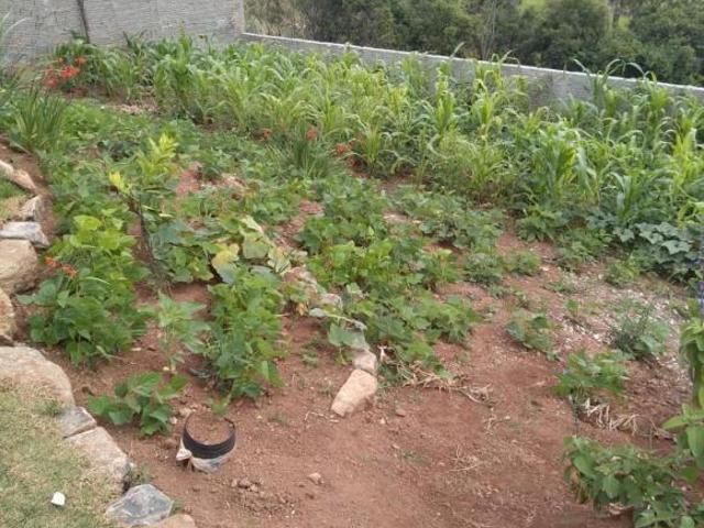 Casa para venda em Estância São José, Poços de Caldas