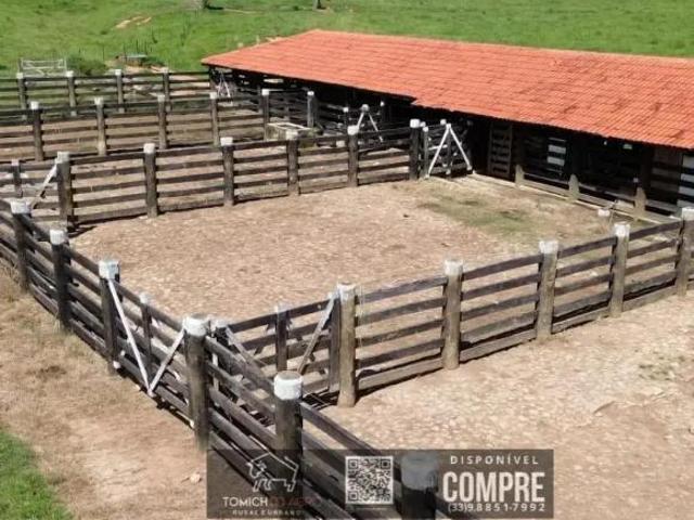 Casa para venda em Ladainha