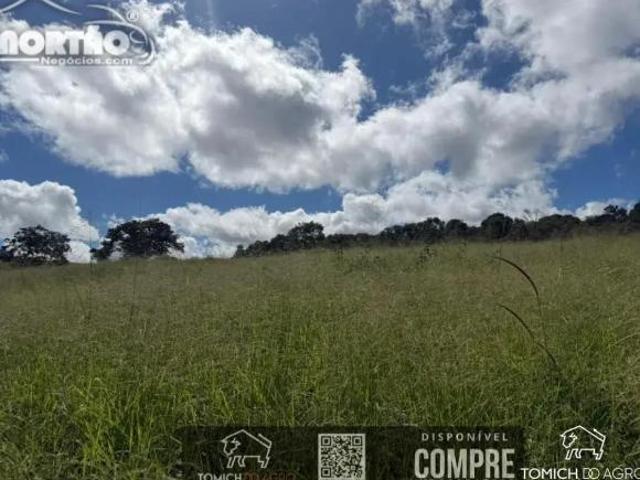 Casa para venda em Ponto dos Volantes