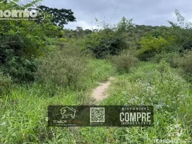 Casa para venda em Padre Paraíso