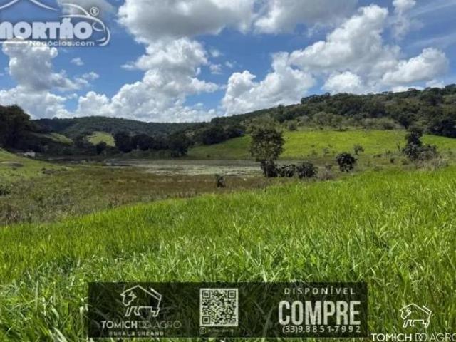 Casa para venda em Padre Paraíso