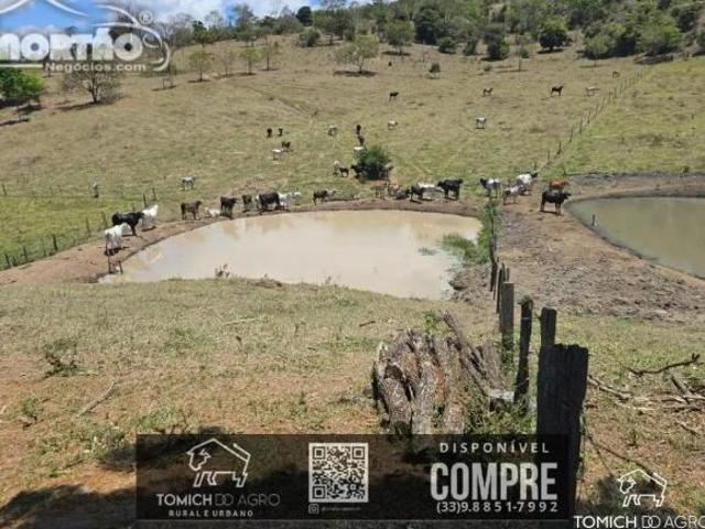 Casa para venda em Padre Paraíso