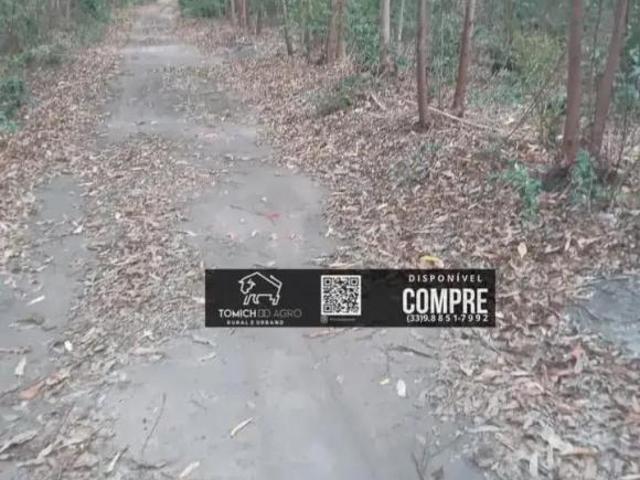 Casa para venda em Padre Paraíso
