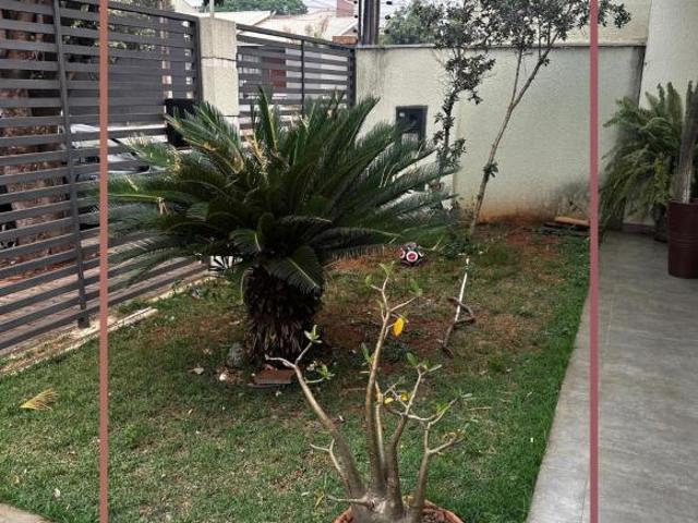 Casa para Venda em Umuarama, Jardim Alphavile, 3 dormitórios, 1 suíte, 3 banheiros, 1 vaga